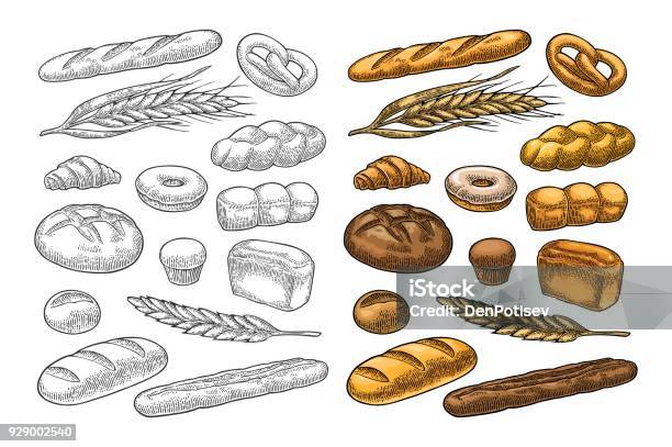 Set Bread Vector Color Vintage Engraving Stock Illustration - Download Image Now - Bread, Baguette, Illustration