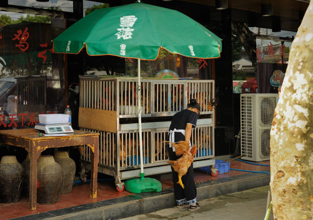 SUZHOU, CHINA - JULY 25, 2010: Chicken restaurant in Suzhou, called Venice of the east, the most popular of water towns near Shanghai. Many tourists come here to visit colorful streets near canals.