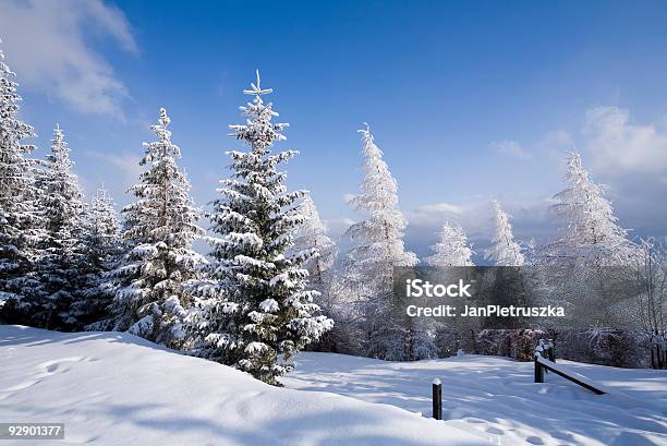 Floresta De Inverno - Fotografias de stock e mais imagens de Ao Ar Livre - Ao Ar Livre, Clima polar, Coberto de Neve