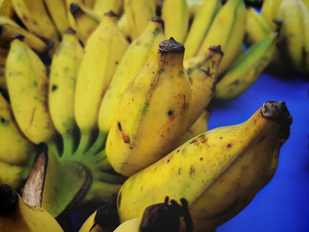 Bunch of Ripe Yellow Bananas