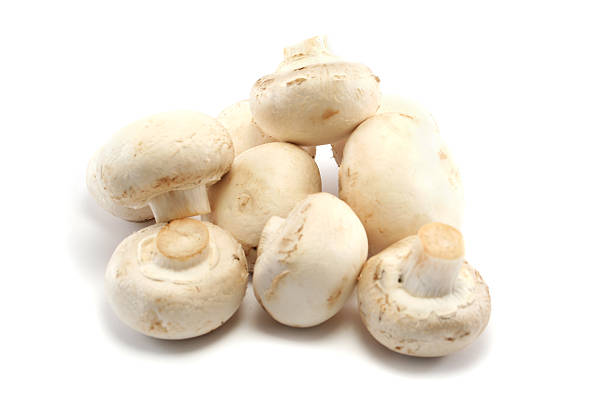 istock Pile of Button Mushrooms 92903161