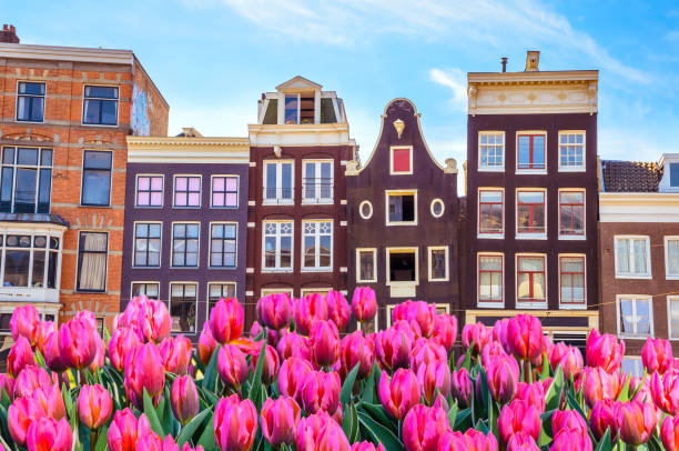 istock Traditional old buildings and tulips in Amsterdam, Netherlands 929032824