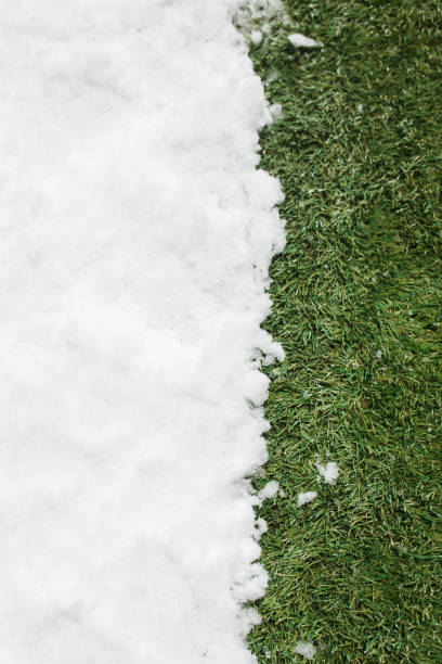 istock Meeting snow on green grass close up - between winter and spring concept background 929037862