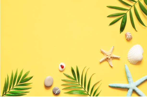 istock Tropical Background. Palm Trees Branches with starfish and seashell on yellow background. Travel. Copy space. 929044170