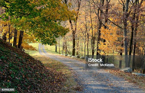 Autumn Road - カラー画像のストックフォトや画像を多数ご用意 - カラー画像, 人物なし, 写真