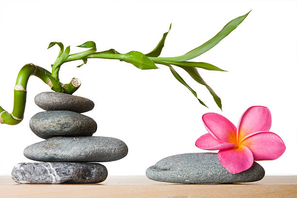 istock Stone Stack and Frangipani Flower With Spiral Bamboo 92905325
