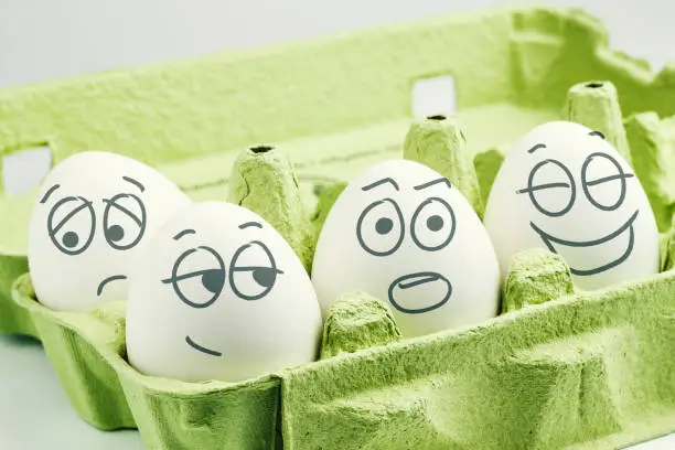 Photo of Four eggs in eggbox. Types of temperaments.