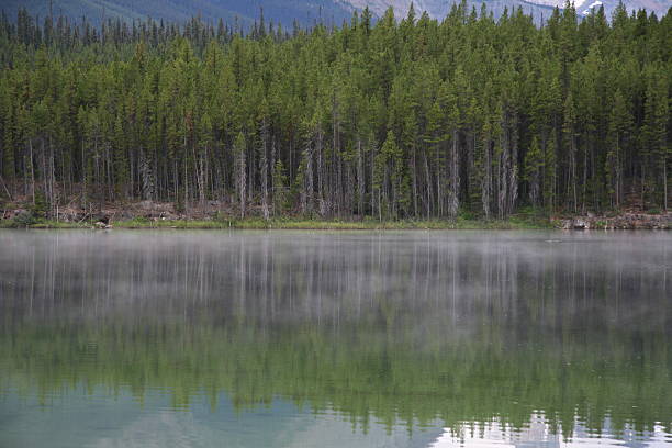 reflections in foggy lake stock photo