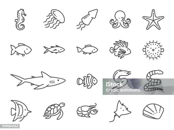 Ocean Life Line Icon Set Included The Icons As Marine Fish Sea Fish Shark Seahorse Stingray Mackerel Shell Tuna And More Stock Illustration - Download Image Now