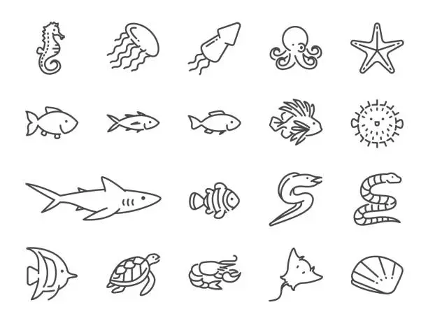 Vector illustration of Ocean life line icon set. Included the icons as marine fish, sea fish, shark, seahorse, stingray, mackerel, shell, tuna and more.