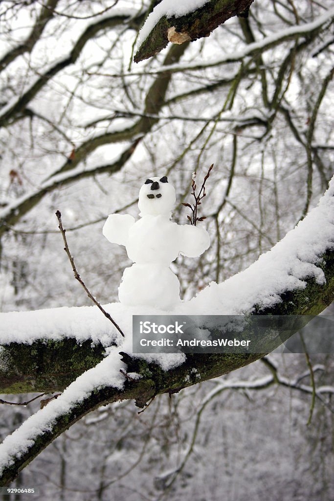 Pequeno País das maravilhas do inverno com um boneco de neve - Royalty-free Adulto Foto de stock