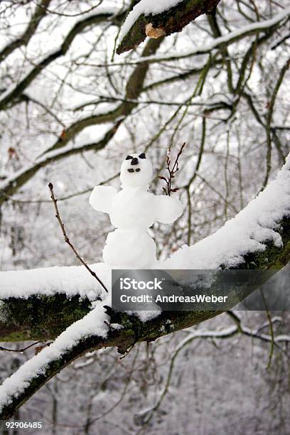 Pequeno País Das Maravilhas Do Inverno Com Um Boneco De Neve - Fotografias de stock e mais imagens de Adulto