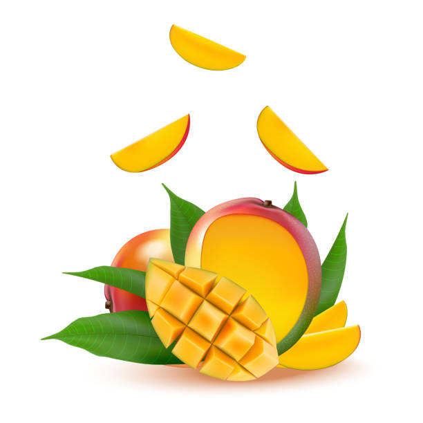 Mango fruit for fresh juice, jam, yogurt, pulp. 3d realistic yellow, red, orange ripe mango cubes and leaves isolated on white background for packaging, web design. Falling mango slice. Mango fruit for fresh juice, jam, yogurt, pulp. 3d realistic yellow, red, orange ripe mango cubes and leaves isolated on white background for packaging, web design. Falling mango slice. Vector EPS 10. mango jam stock illustrations