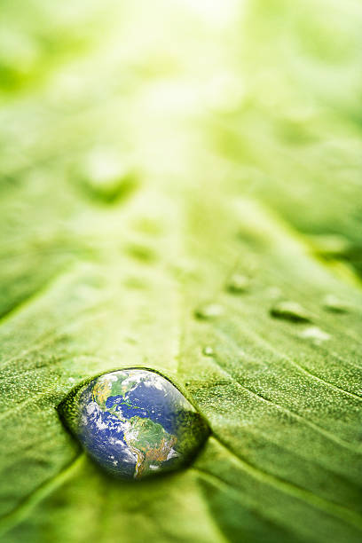 recovery-earth concept - water drop leaf earth stock-fotos und bilder