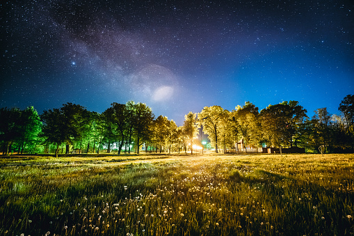 Green Trees Woods In Park Under Night Starry Sky. Night Landscape With Natural Real Glowing  Milky Way  Stars Over Meadow At Summer Season. View From Eastern Europe At Spring Season.