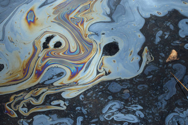 agua de alquitrán - petróleo fotografías e imágenes de stock