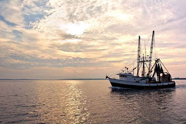 trawler rybacki na wodzie na wschód słońca - 4813 zdjęcia i obrazy z banku zdjęć