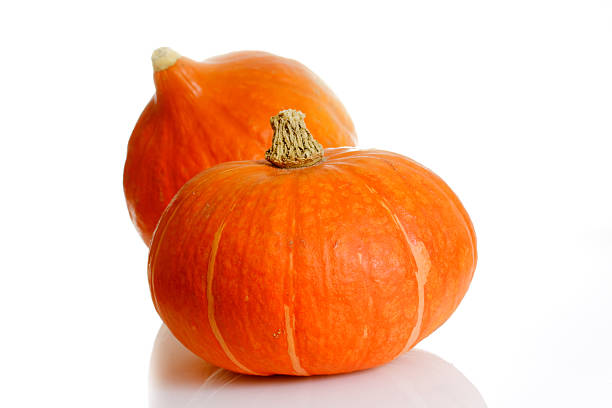 istock pumpkins on the white background,isolated 92910129