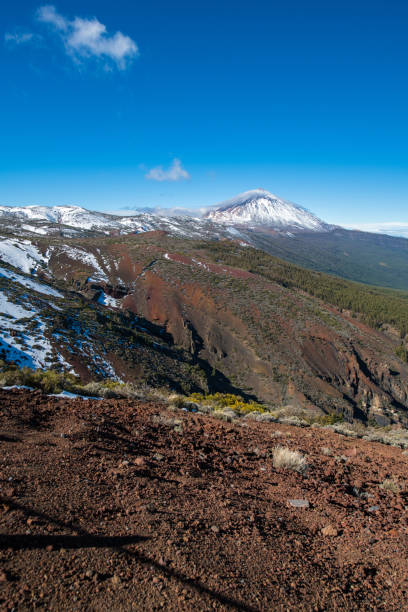 Teide Volcano and Observatory on Tenerife, Canary Islands, Spain Snowy volcano Teide and observatory on Tenerife, Canary islands, Atlantic, Spain. Landscape, trees in front. Nikon D850. observatory tenerife canary islands el teide national park stock pictures, royalty-free photos & images