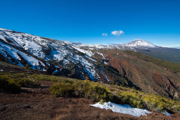 Teide Volcano and Observatory on Tenerife, Canary Islands, Spain Snowy volcano Teide and observatory on Tenerife, Canary islands, Atlantic, Spain. Landscape, trees in front. Nikon D850. observatory tenerife canary islands el teide national park stock pictures, royalty-free photos & images