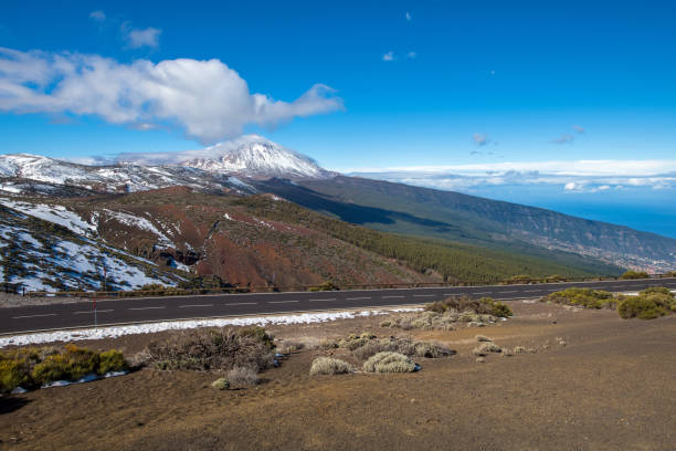 Teide Volcano and Observatory on Tenerife, Canary Islands, Spain Snowy volcano Teide and observatory on Tenerife, Canary Islands, Atlantic, Spain. Landscape, trees in front. Nikon D850. observatory tenerife canary islands el teide national park stock pictures, royalty-free photos & images
