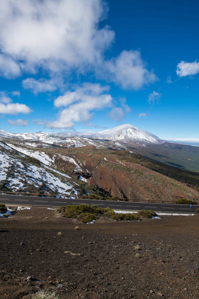 Teide Volcano and Observatory on Tenerife, Canary Islands, Spain Snowy volcano Teide and observatory on Tenerife, Canary islands, Atlantic, Spain. Landscape, trees in front. Nikon D850. observatory tenerife canary islands el teide national park stock pictures, royalty-free photos & images