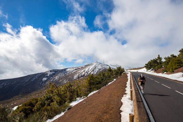 Road to Teide Volcano and Observatory on Tenerife, Canary Islands, Spain The road to Teide and observatory on Tenerife, Canary islands, Atlantic, Spain. Landscape, trees in front. Nikon D850. observatory tenerife canary islands el teide national park stock pictures, royalty-free photos & images