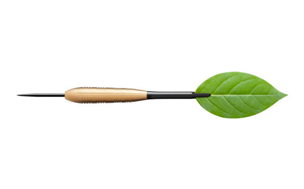 Dart with flight made of leaf on white background