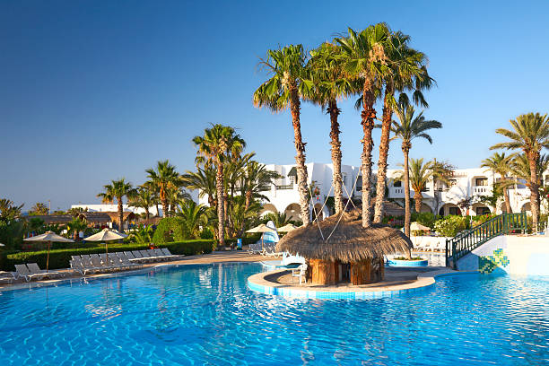 swimming pool with palm trees  djerba stock pictures, royalty-free photos & images