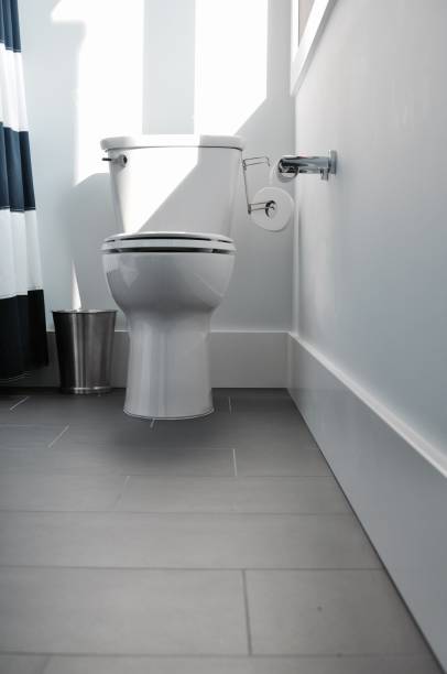 istock Tiled Floor in Bathroom with Toilet 929133904
