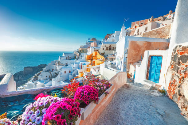 santorini, grécia. pitores vista tradicional das cíclades santorini casas na rua pequena com flores em primeiro plano. localização: aldeia oia, santorini, grécia. fundo de férias. - cycladic architecture - fotografias e filmes do acervo