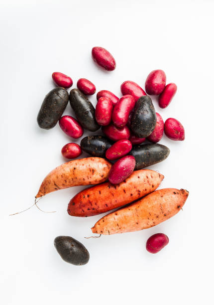 verschiedene sorten in form und farbe von kartoffeln auf einem weißen hintergrund isoliert. shetland black kartoffel, rot und süß - raw potato red potato desiree isolated stock-fotos und bilder