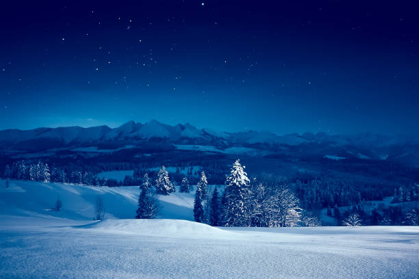 冬の夜の星空 - winter landscape mountain snow ストックフォトと画像