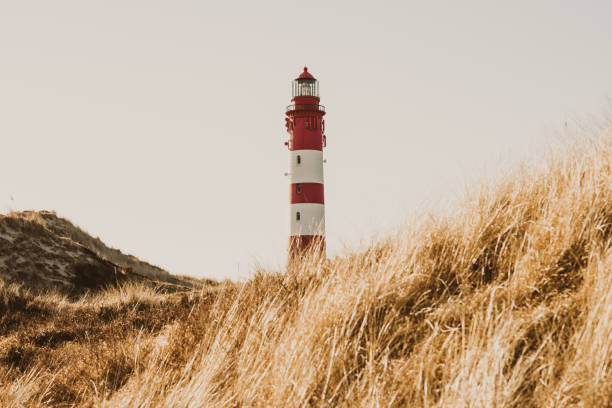 amrum 등 대 언덕에서 - lighthouse sea beach germany 뉴스 사진 이미지