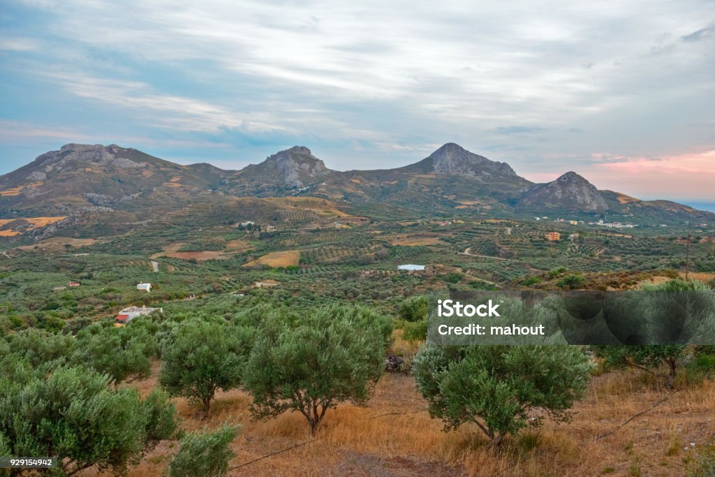 Rural landscape on Crete island, Greece Rural landscape with farm fields, plants and gardens on Crete island, Greece Agricultural Field Stock Photo