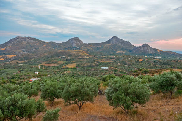 Rural landscape on Crete island, Greece stock photo