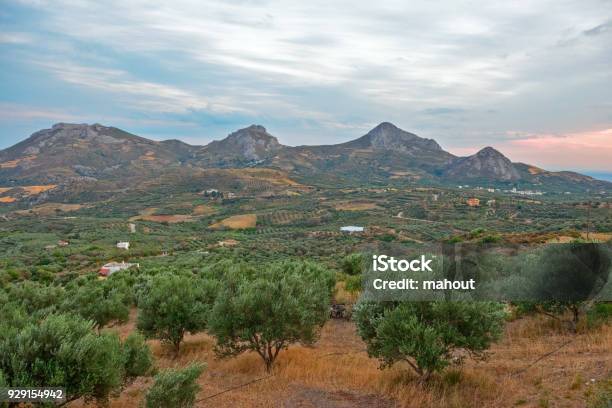 Rural Landscape On Crete Island Greece Stock Photo - Download Image Now - Agricultural Field, Agriculture, Crete