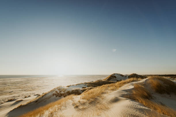 istock Scenic View Of Sea Against Sky 929161436