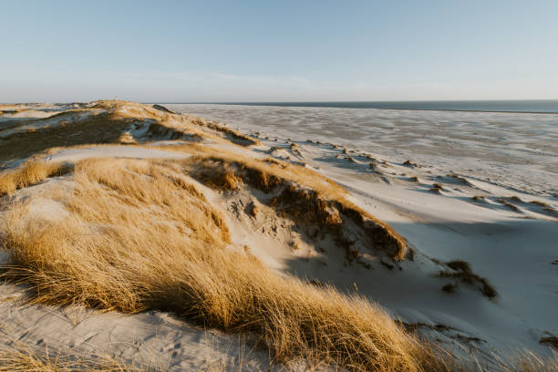 istock Scenic View Of Sea Against Sky 929162292