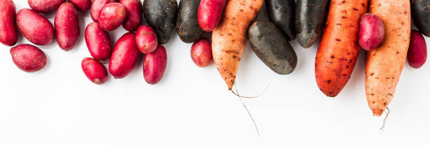 verschiedene sorten in form und farbe von kartoffeln auf einem weißen hintergrund isoliert. shetland black kartoffel, rot und süß - raw potato red potato desiree isolated stock-fotos und bilder