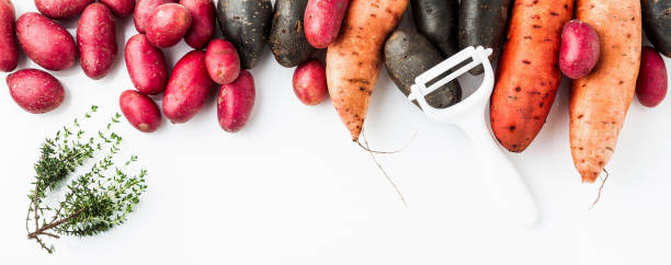 verschiedene sorten in form und farbe von kartoffeln auf einem weißen hintergrund isoliert. shetland black kartoffel, rot und süß - raw potato red potato desiree isolated stock-fotos und bilder