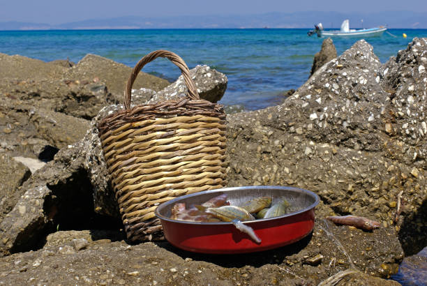 istock Fresh fishes on the beach, Greece 929168278