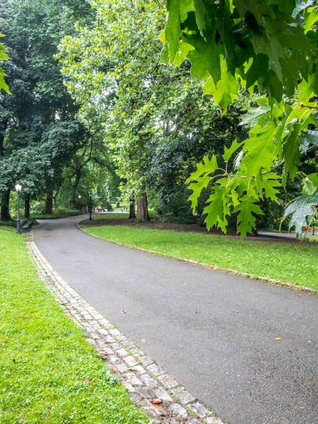 istock Central Park, New York City 929179874