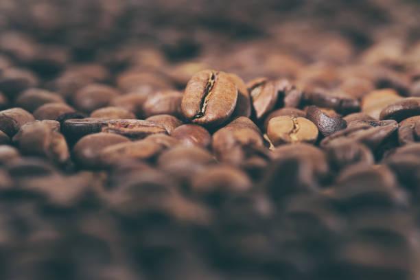 istock Coffee beans pile on the background of ground coffee 929182492