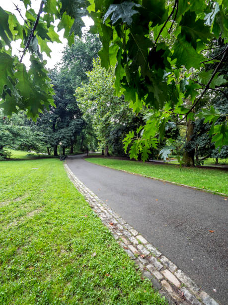 istock Central Park, New York City 929183880