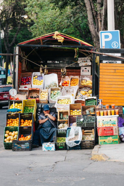 220+ Mexico City Street Vendors Stock Photos, Pictures & Royalty-Free