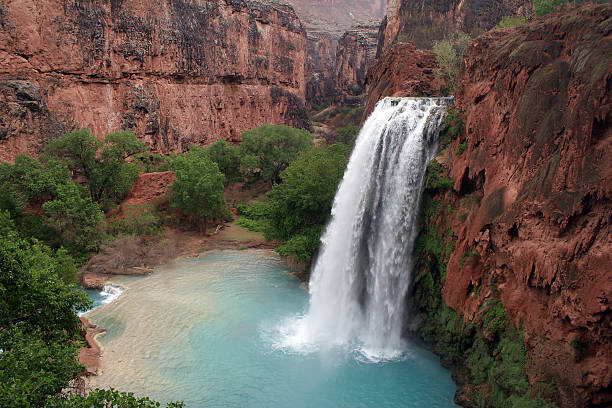 Havasu Falls  havasupai indian reservation stock pictures, royalty-free photos & images