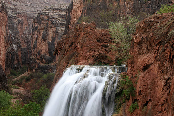 Havasu Falls  havasupai indian reservation stock pictures, royalty-free photos & images