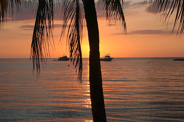 Caribbean Sunset stock photo