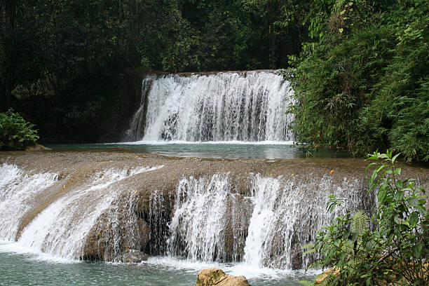 ys 川の滝 - tropical rainforest jamaica tropical climate rainforest ストックフォトと画像